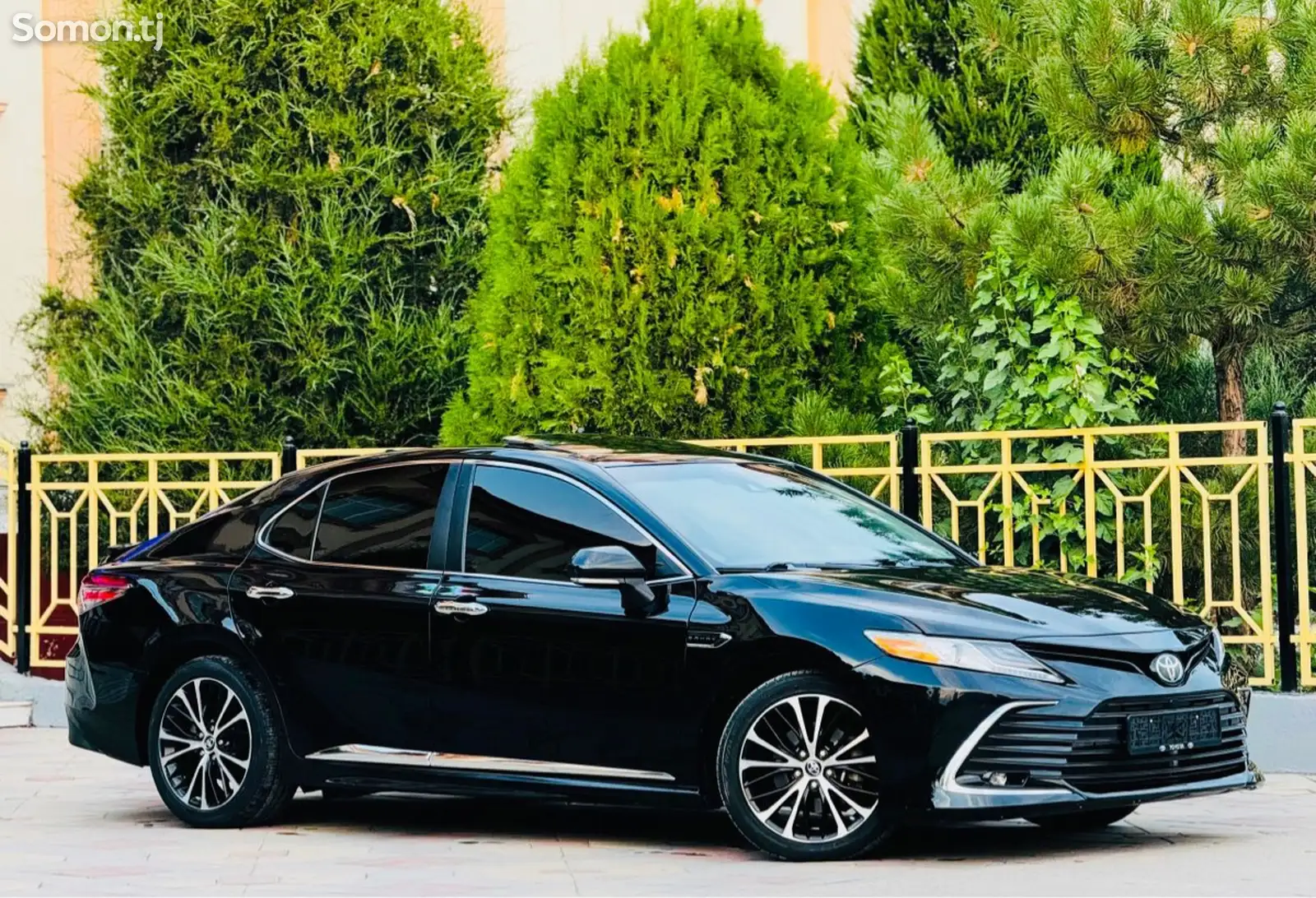 Toyota Camry, 2019-3