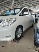 Toyota Alphard, 2009-14