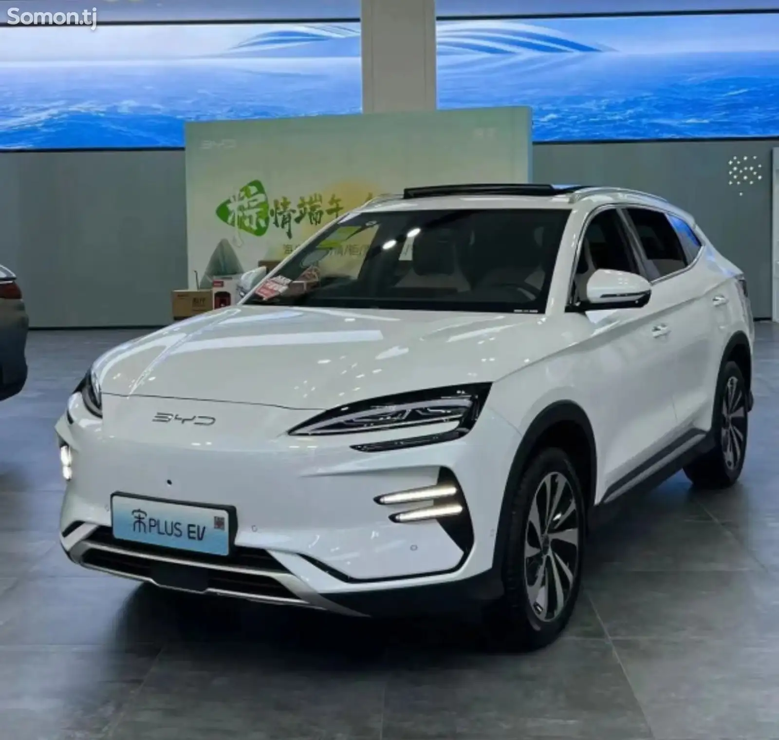 BYD Yuan Plus, 2024-1