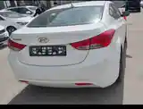 Hyundai Elantra, 2013-7