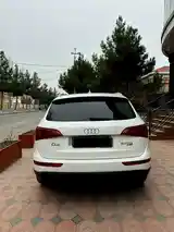 Audi Q5, 2010-4