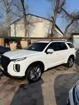 Hyundai Palisade, 2021-6