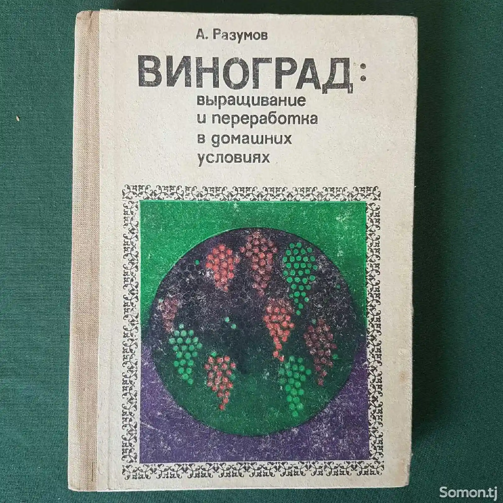 Книга - Виноград-1