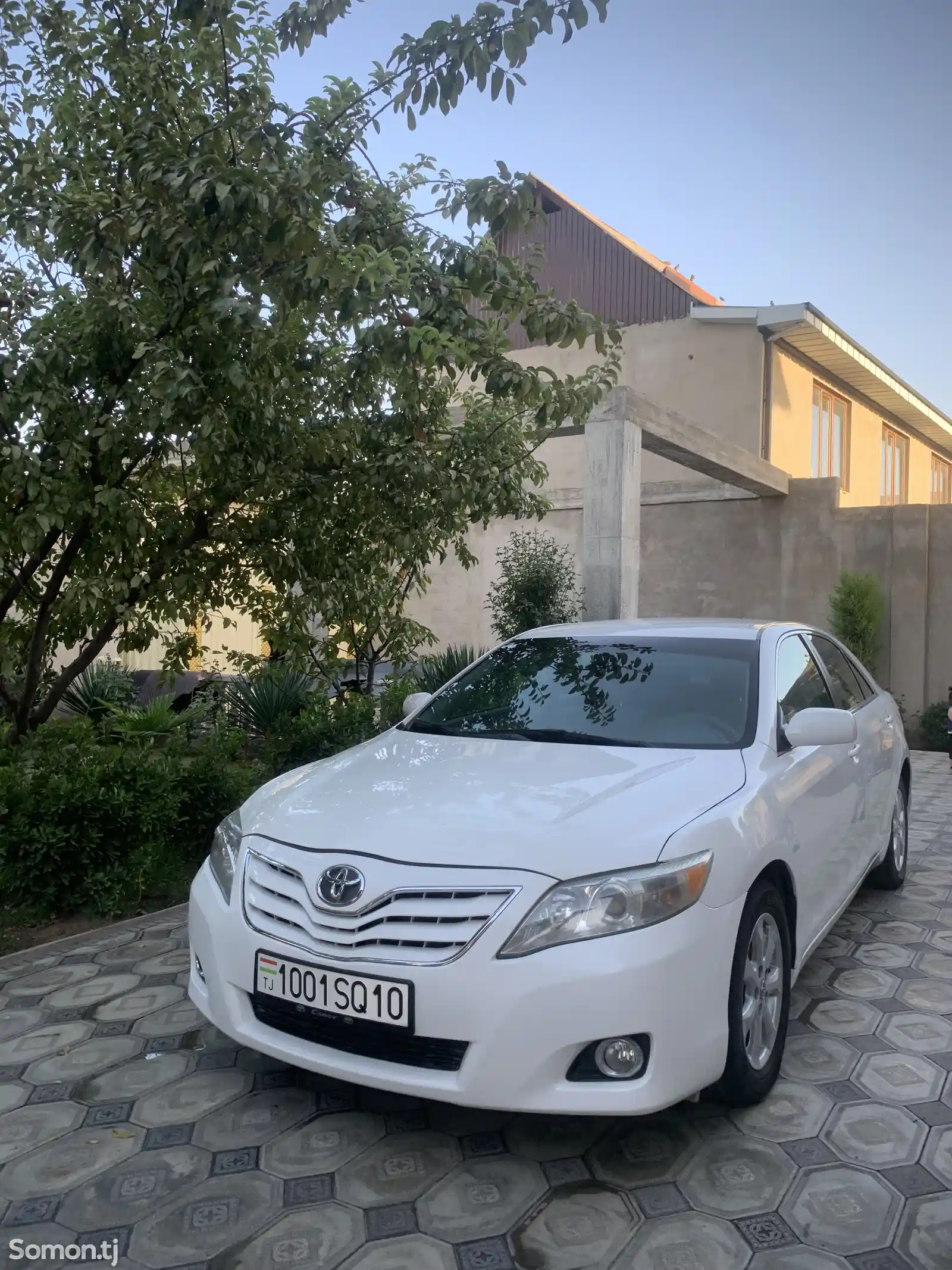 Toyota Camry, 2010-1