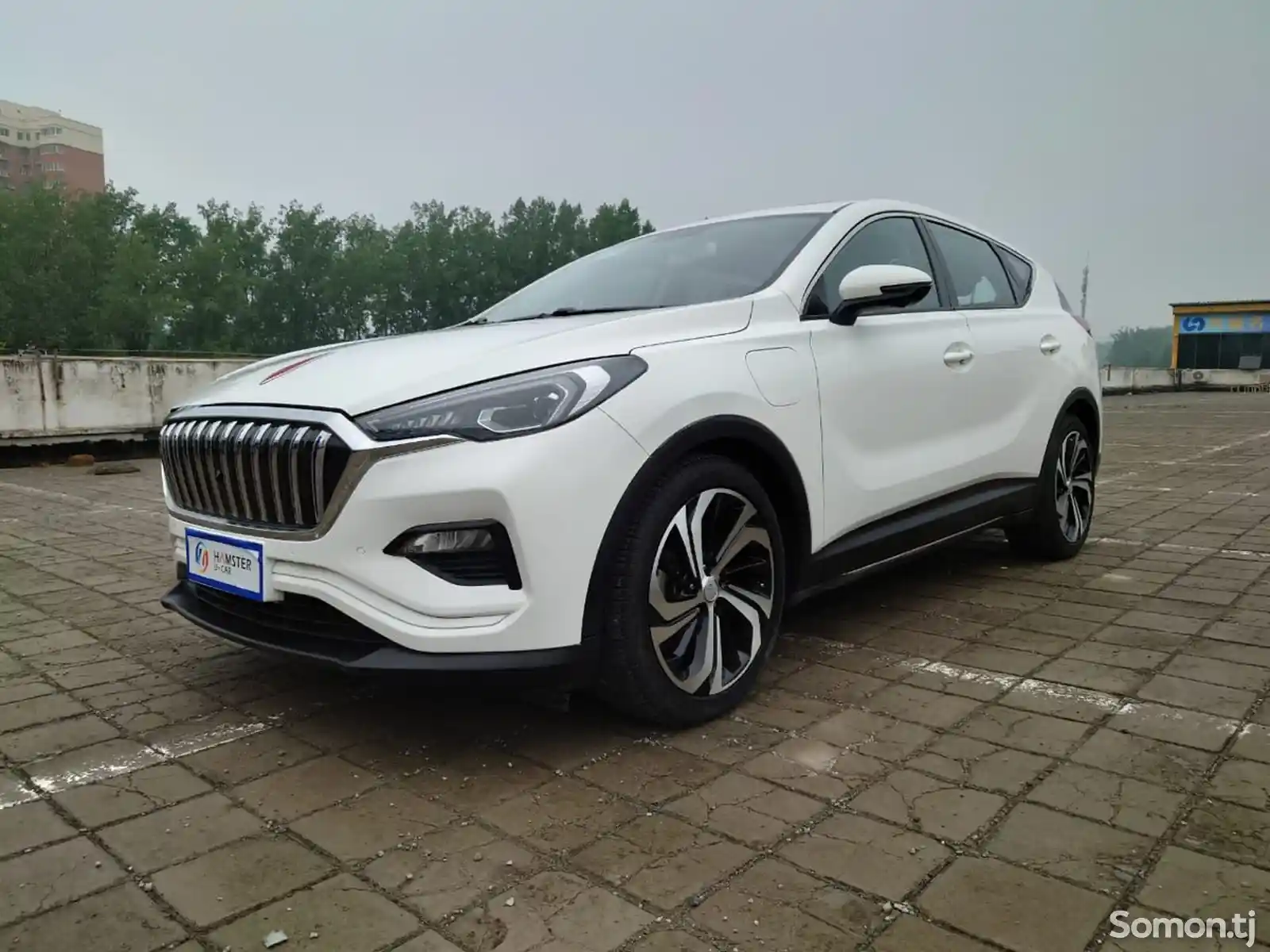 Hongqi E-HS3, 2019-2