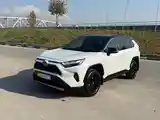 Toyota RAV 4, 2024-2