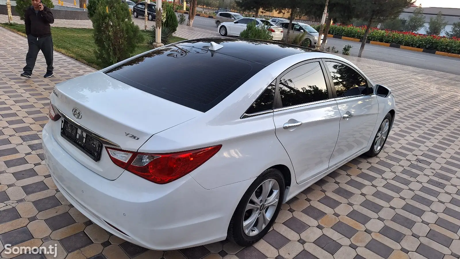 Hyundai Sonata, 2010-6