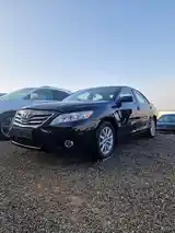 Toyota Camry, 2010-6