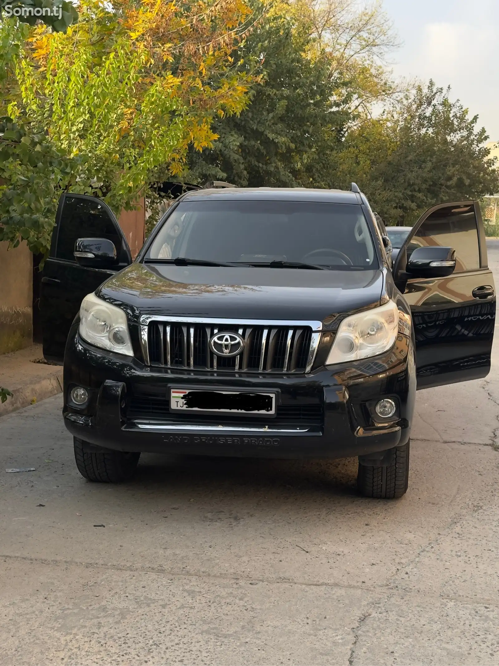 Toyota Land Cruiser Prado, 2010-1