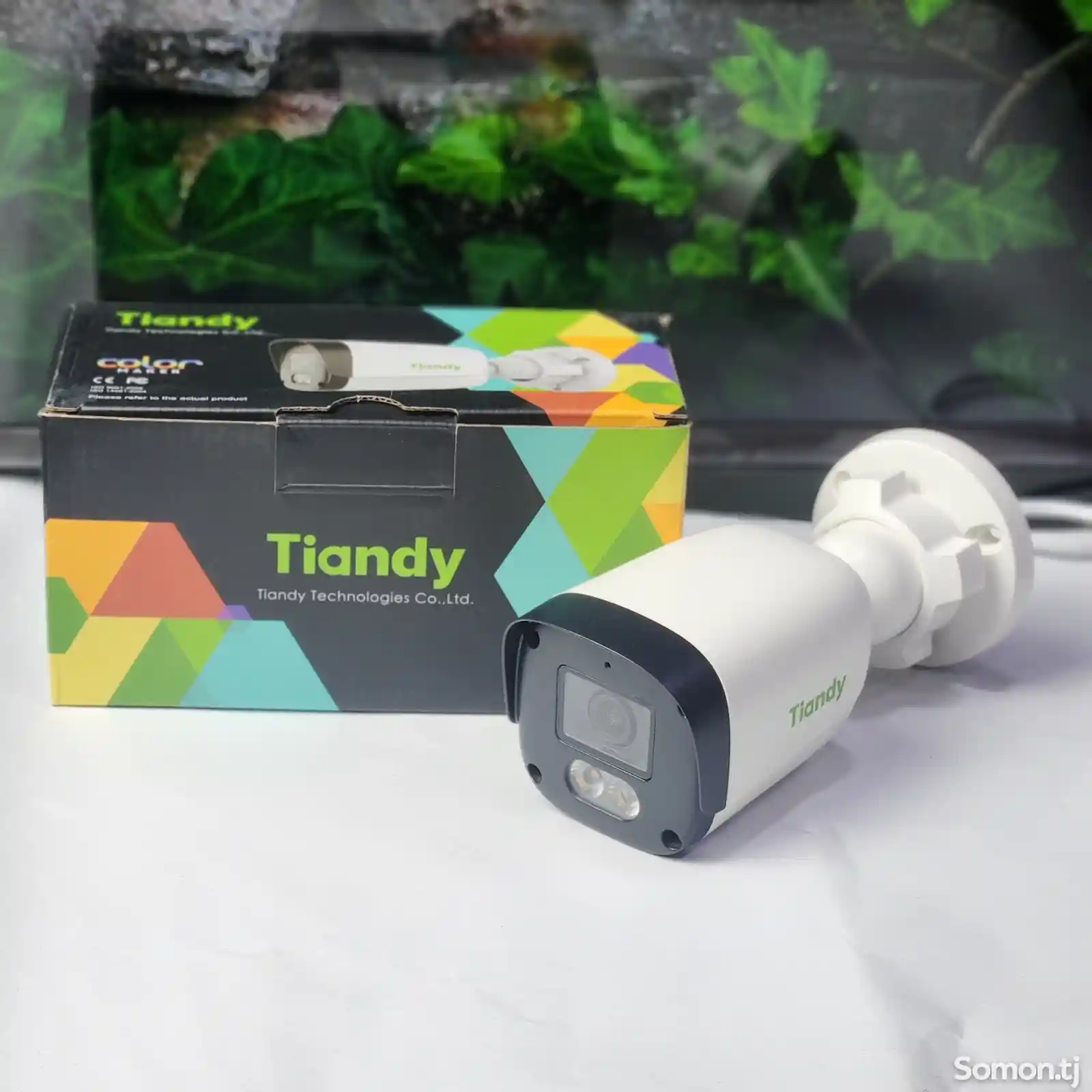IP Камера 4MP со звуком ночной цветной Tiandy-4