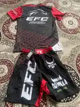 Спортивная одежда EFC Eagle fighting championship-2