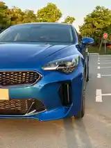 Kia Stinger, 2018-5