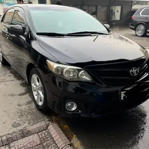 Toyota Corolla, 2010