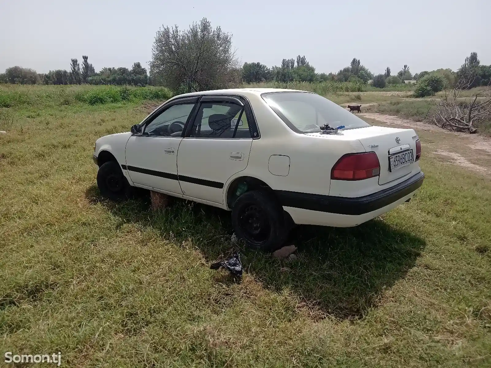 Toyota Corolla, 1995-4