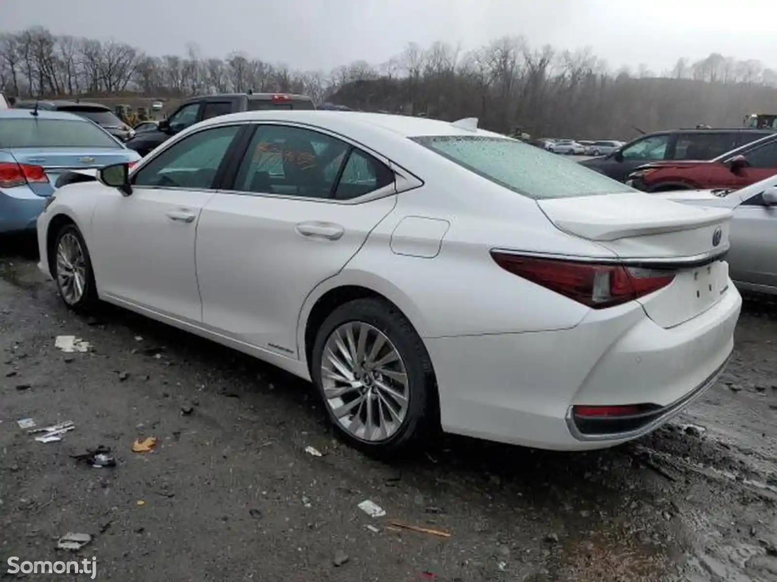 Lexus ES series, 2022 на заказ-4