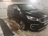 Kia Carnival, 2019-13