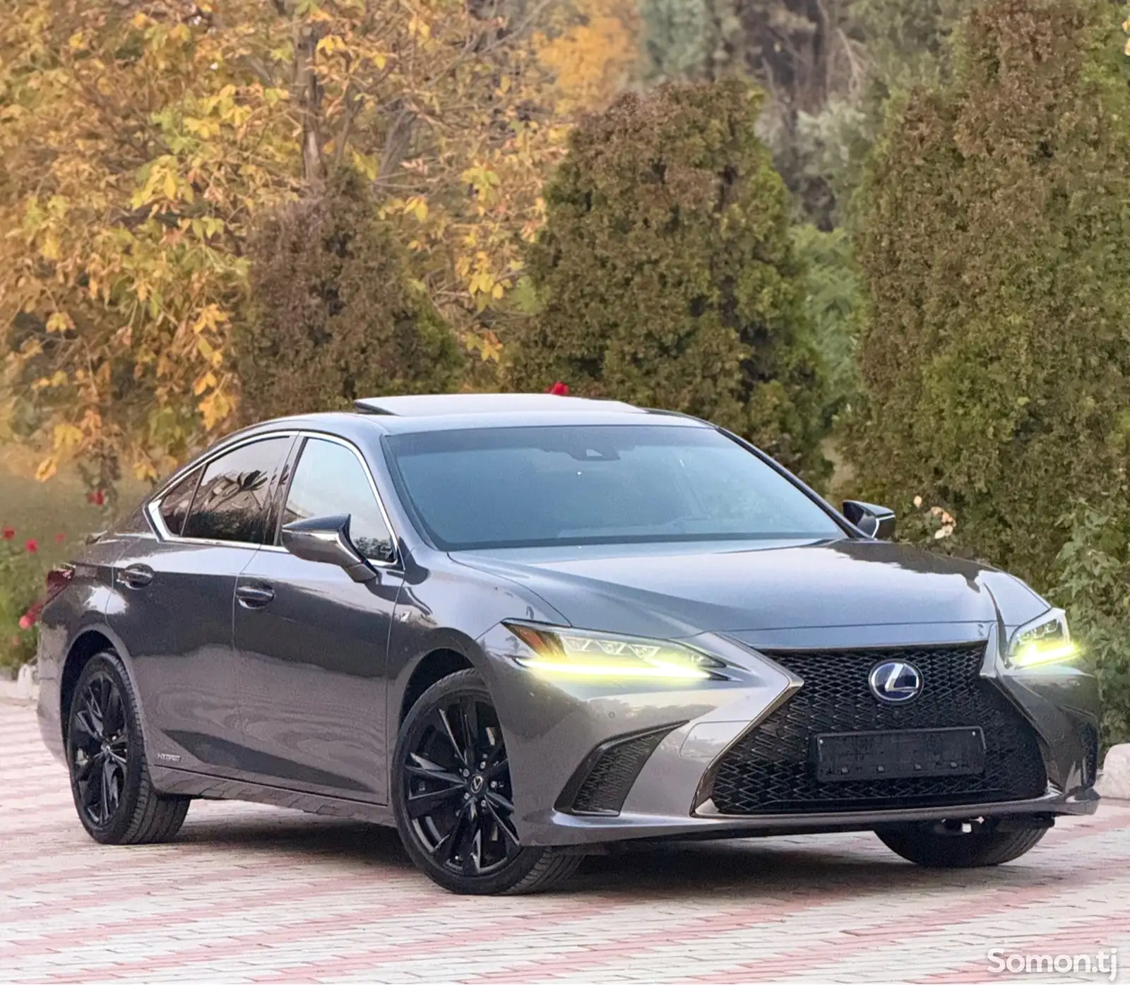 Lexus ES series, 2022-1