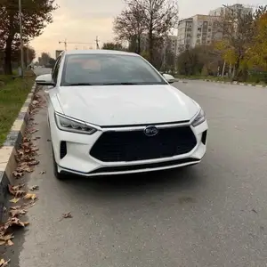 BYD E2, 2019