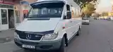 Микроавтобус Mercedes-Benz Sprinter,2006-6