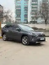 Toyota RAV 4, 2023-2