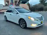 Hyundai Sonata, 2010-3