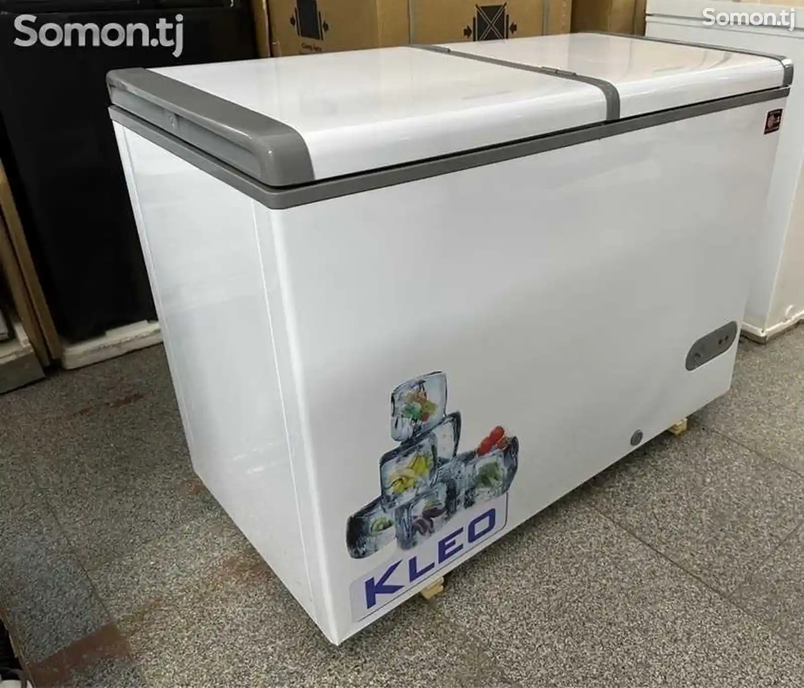 Холодилник Ф300-1