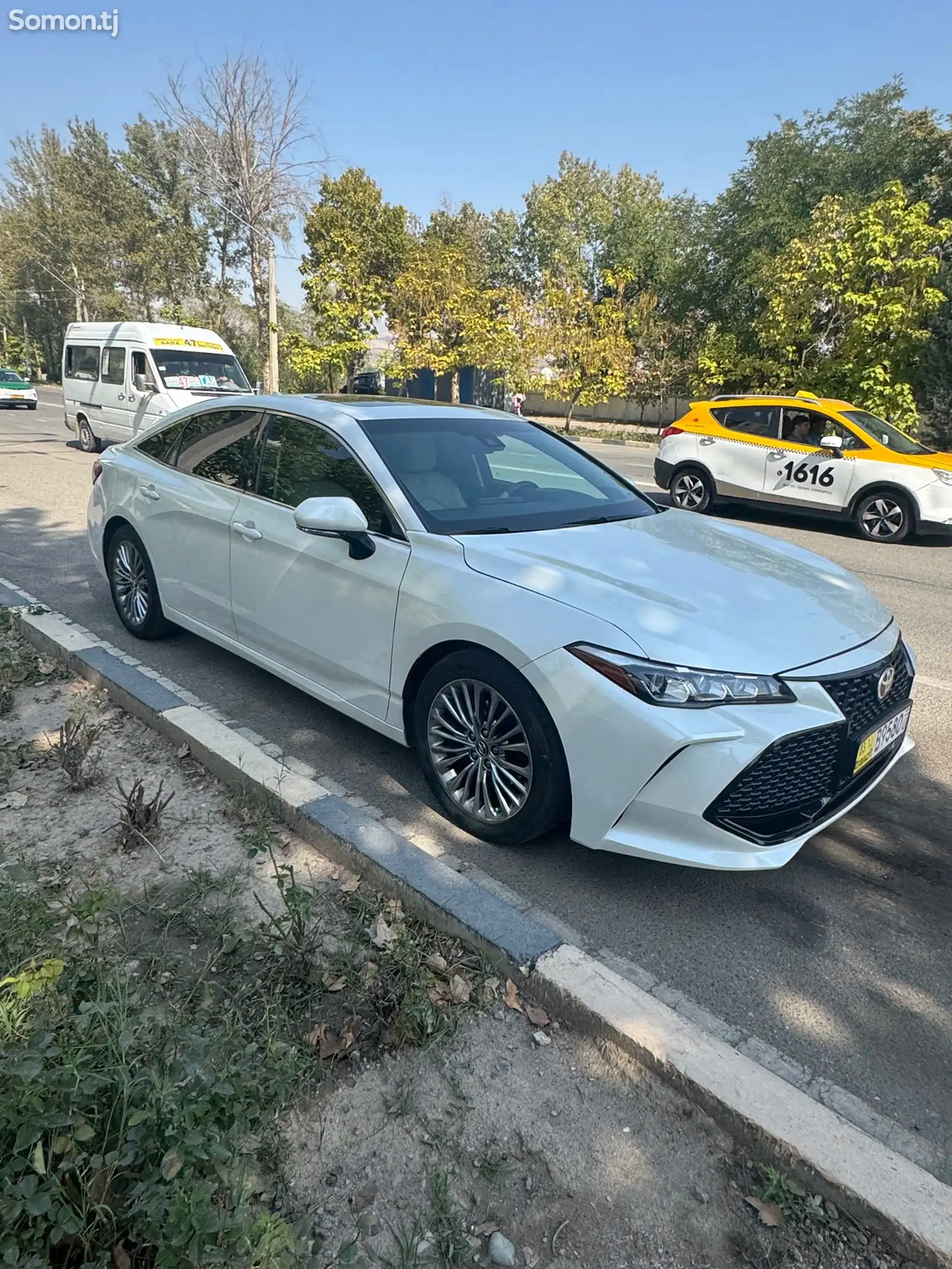 Toyota Avalon, 2019-3