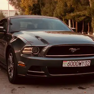 Ford Mustang, 2014