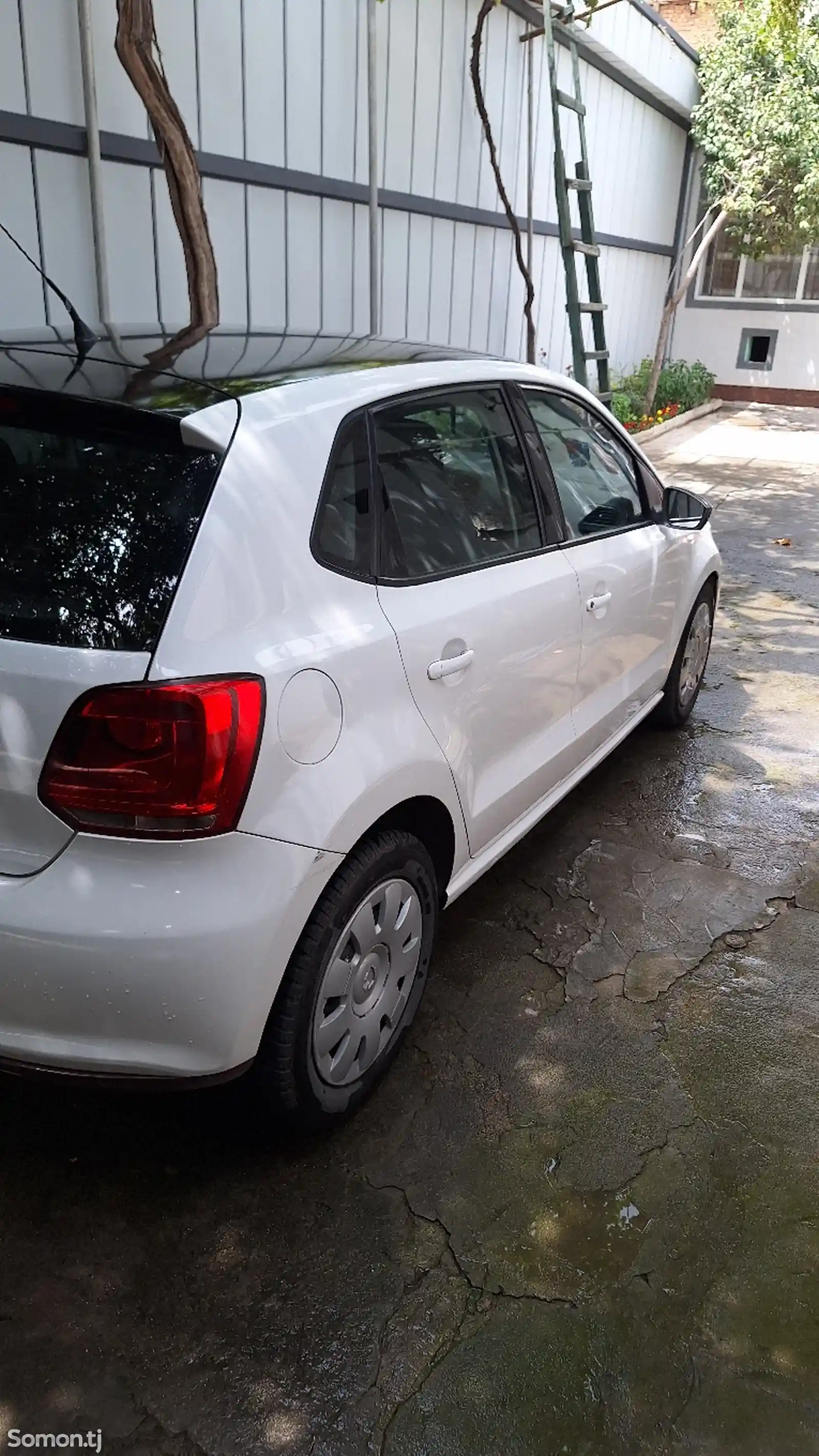 Volkswagen Polo, 2010-8