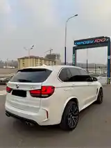 BMW X5, 2014-4