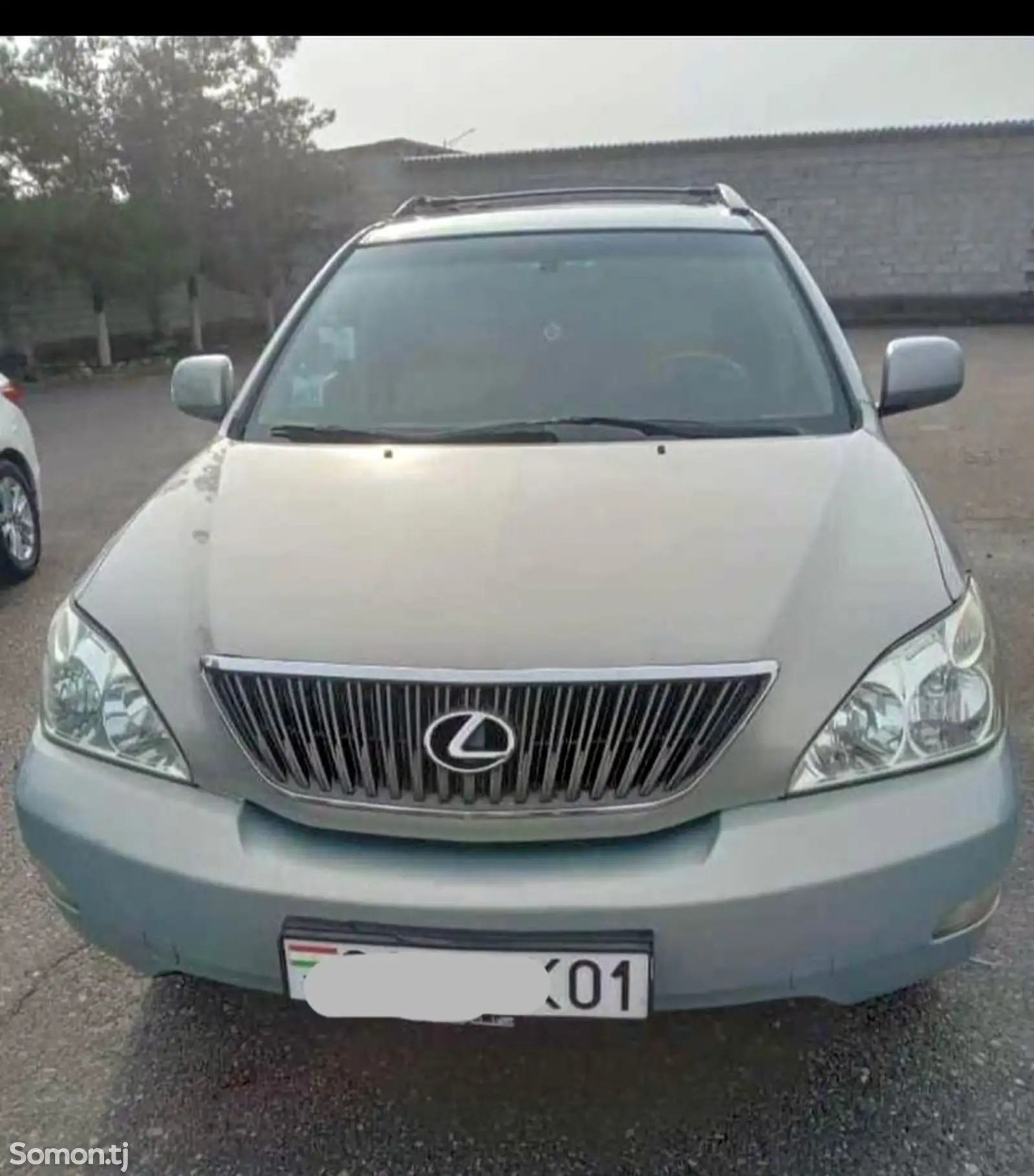 Lexus RX series, 2006-1