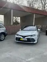 Toyota Camry, 2019-3