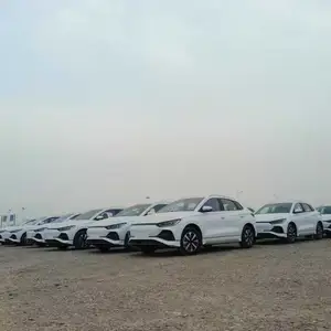 BYD E2, 2025 на заказ