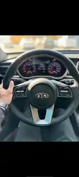 Kia Optima, 2019-14