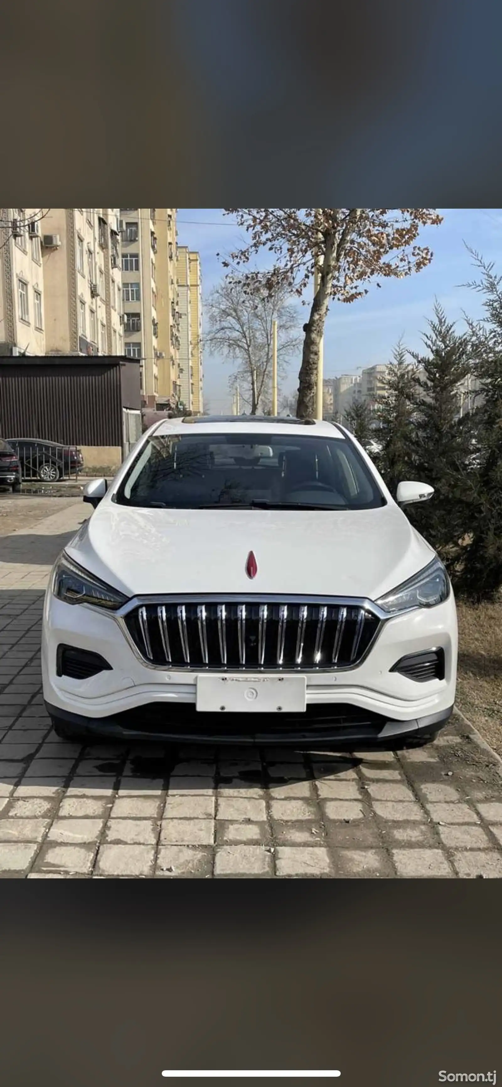 Hongqi E-HS3, 2019-1