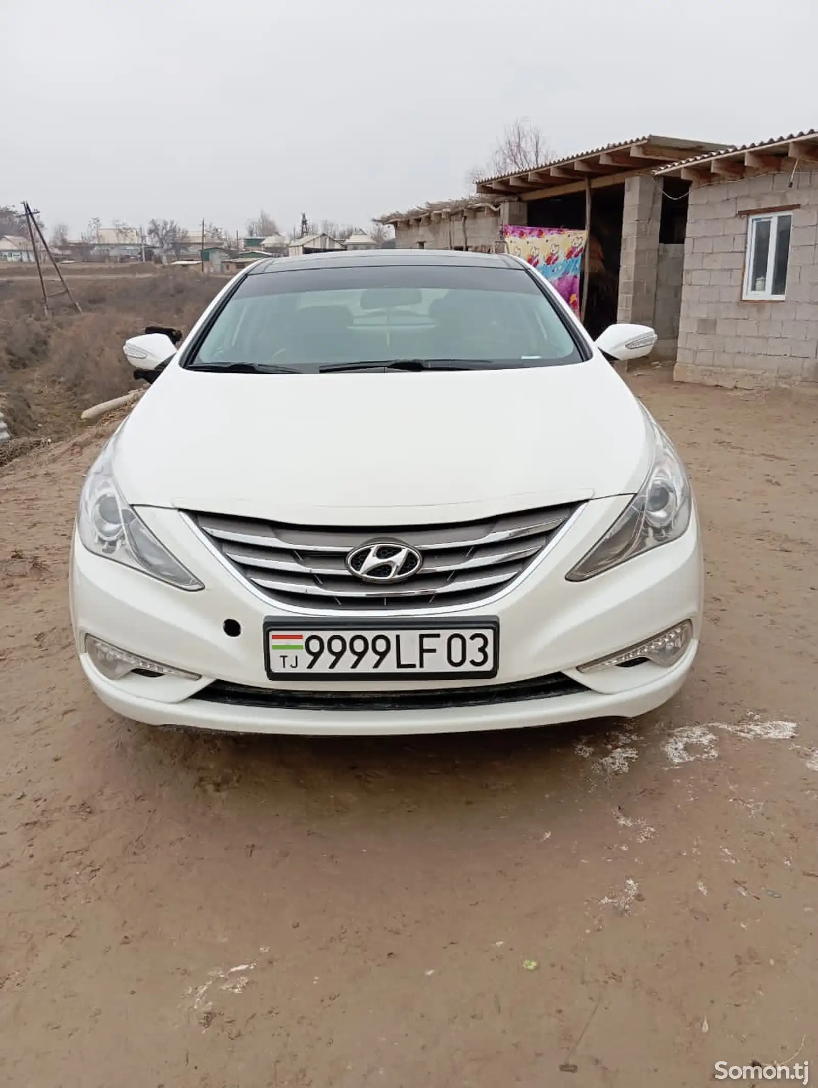 Hyundai Sonata, 2010-1