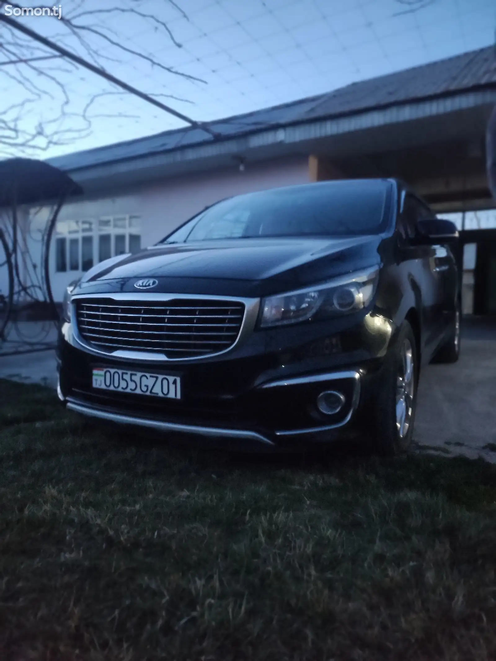 Kia Carnival, 2014-1