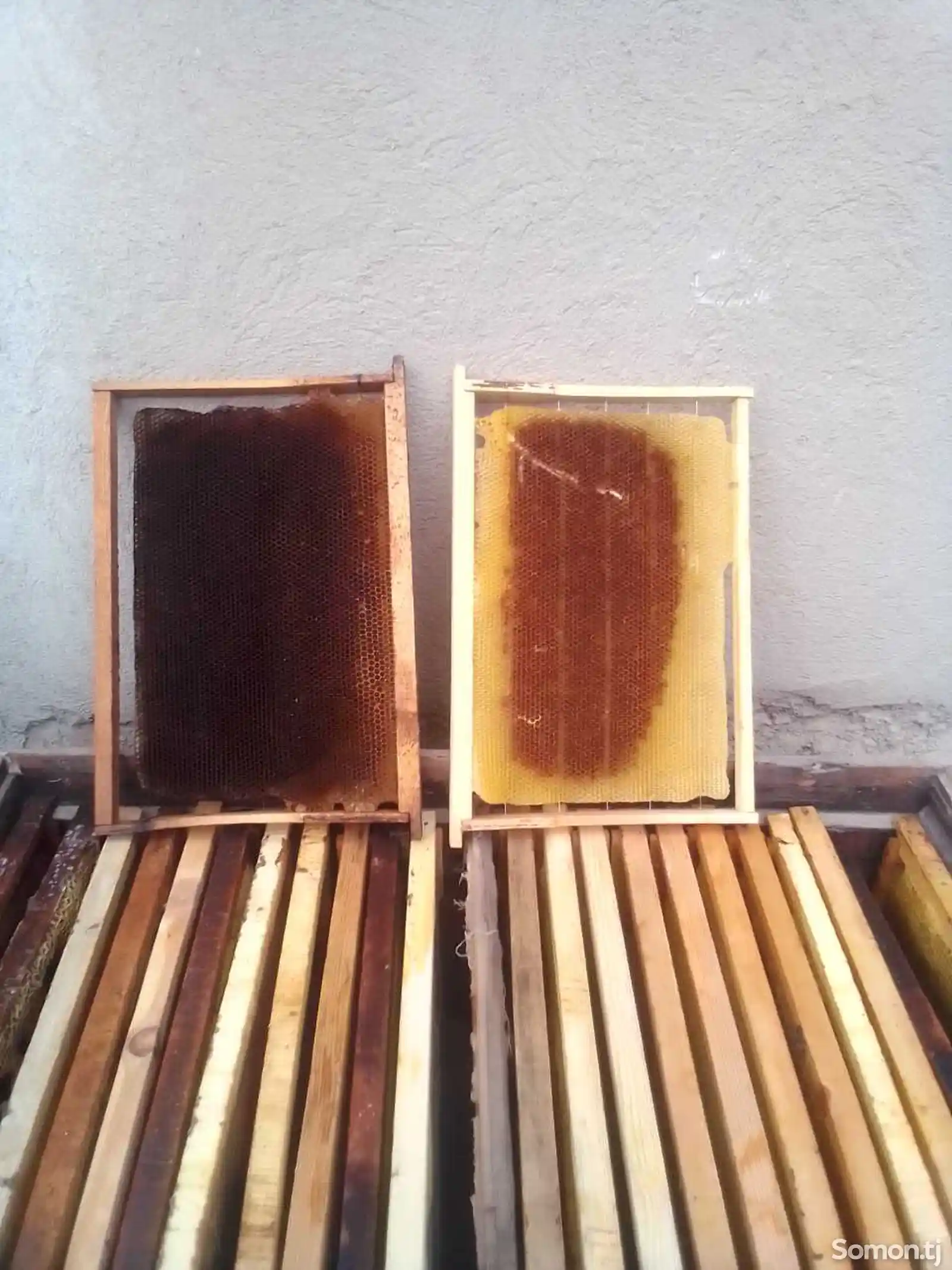Пчелиная рамка-5