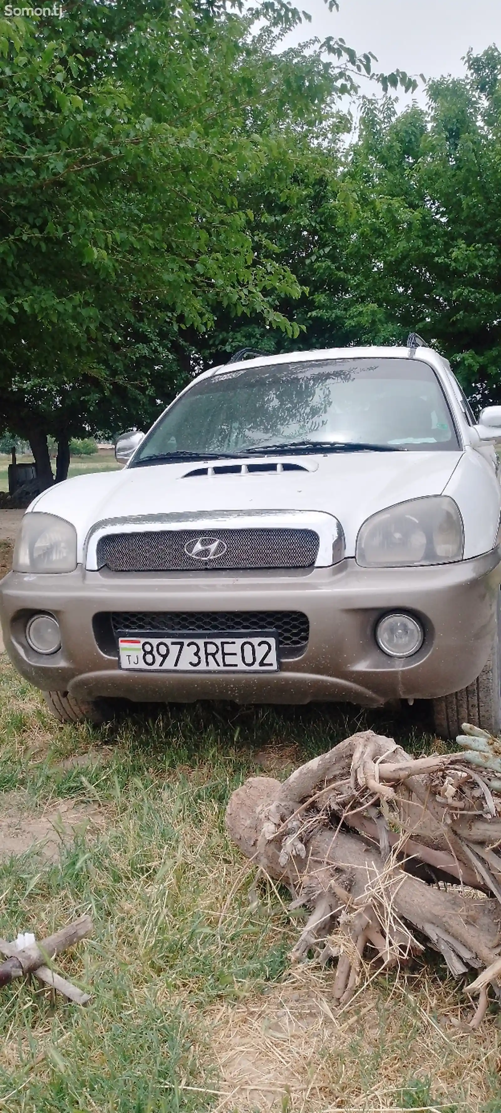 Hyundai Santa Fe, 2001-1
