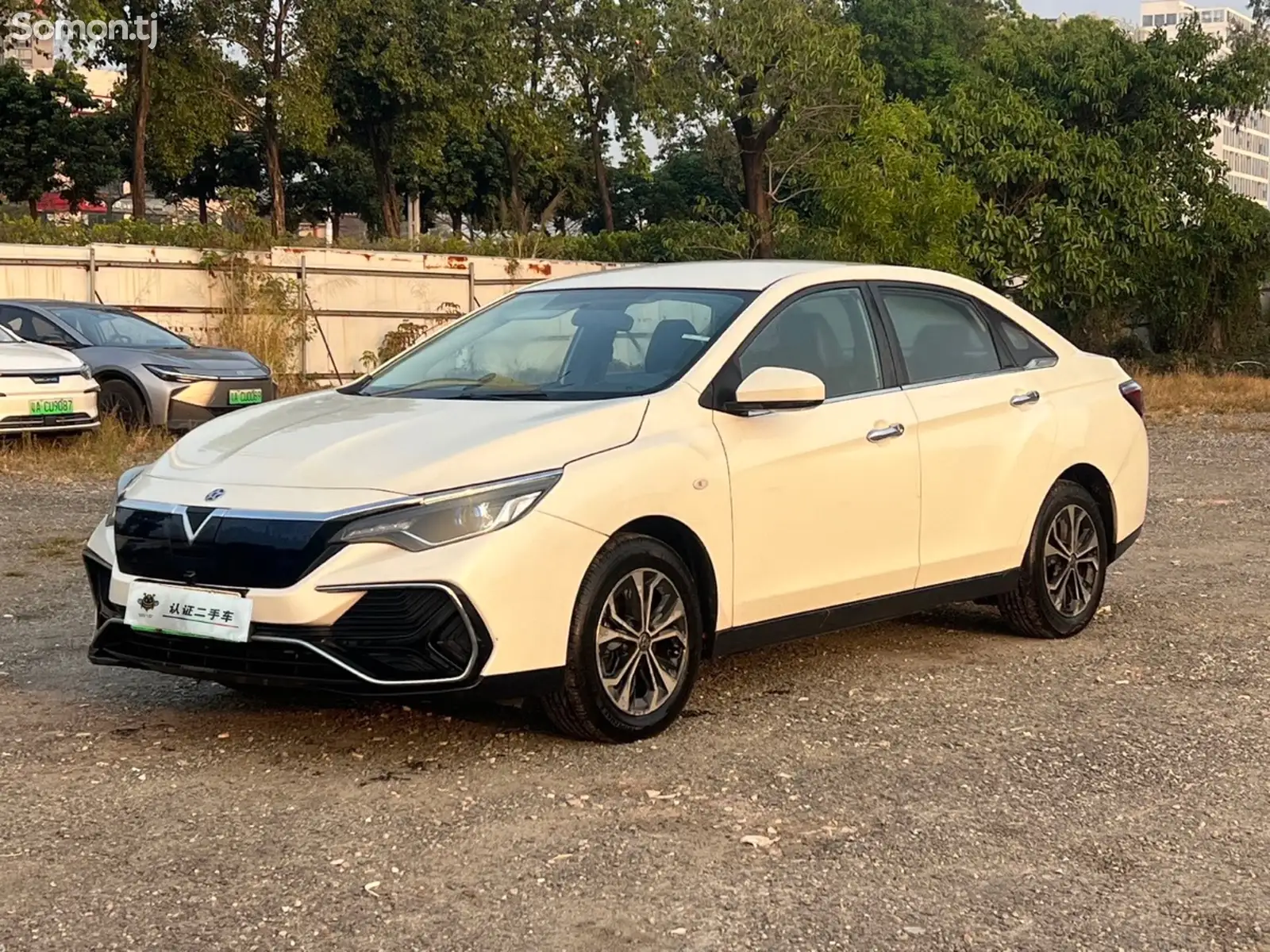 Dongfeng Landian E5, 2022-1