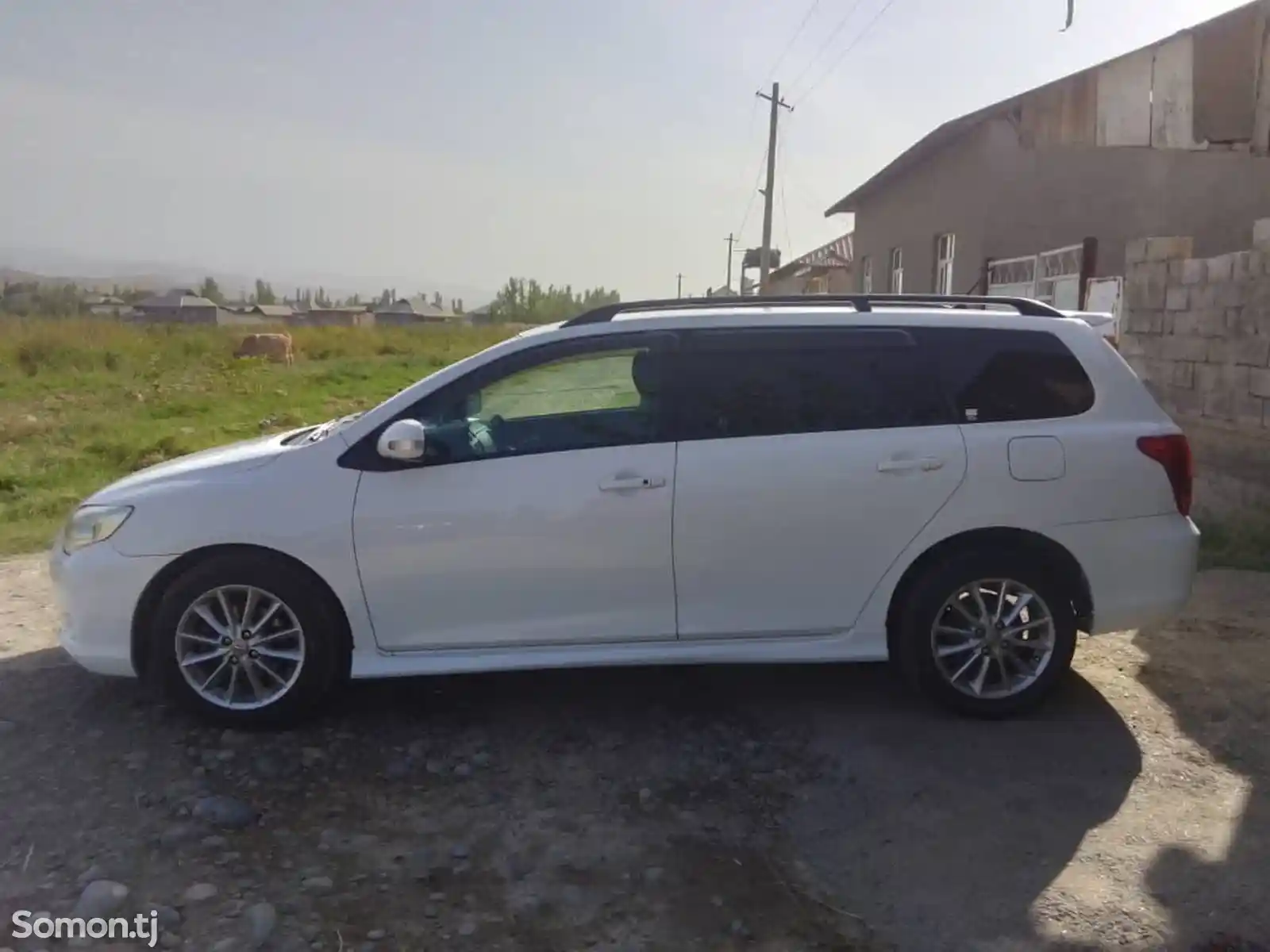 Toyota Fielder, 2007-3