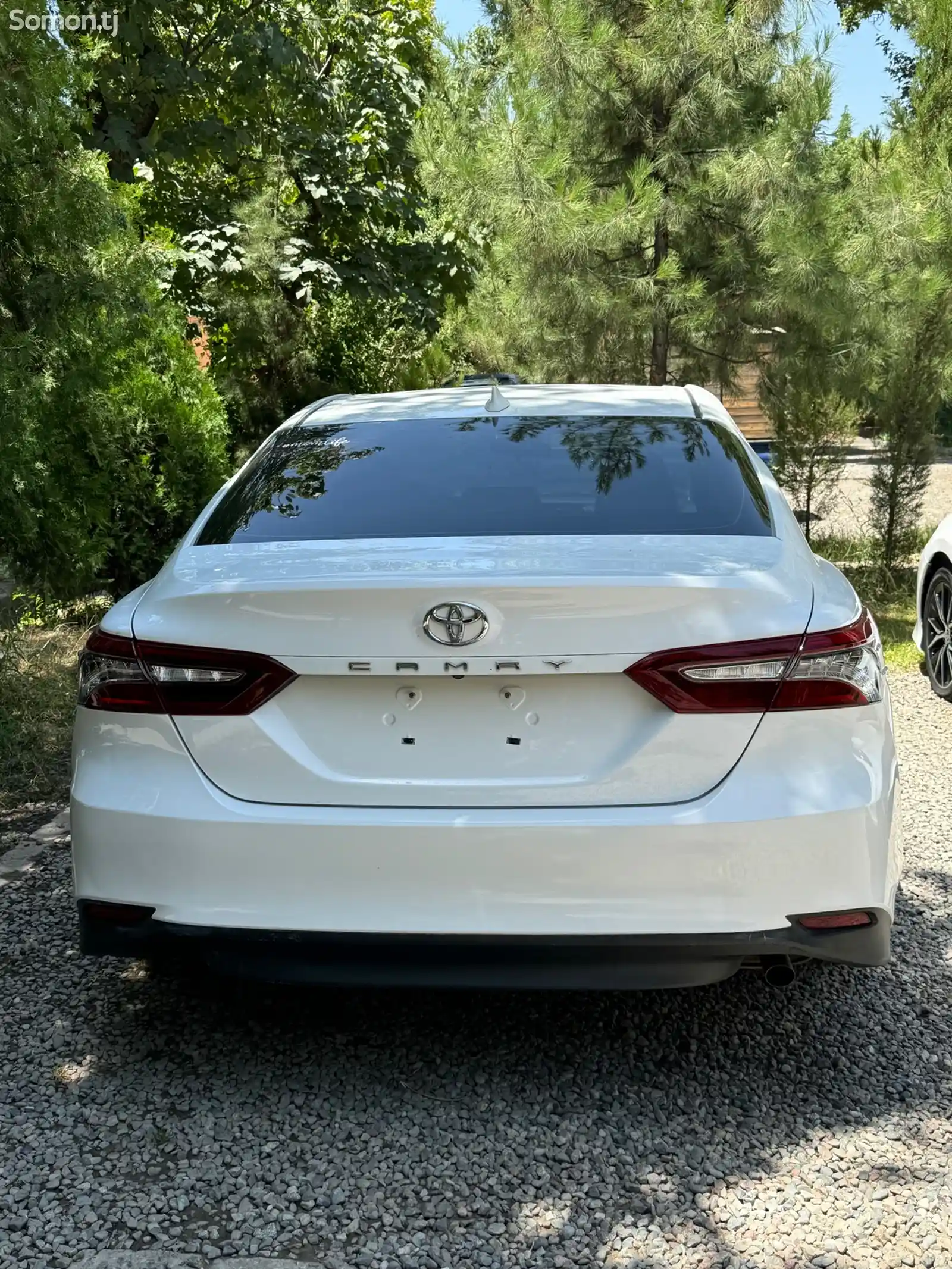 Toyota Camry, 2020-1