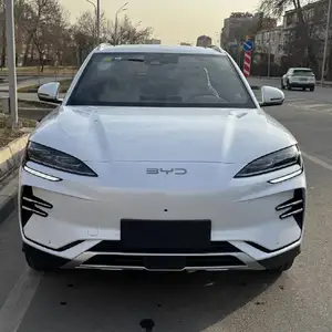 BYD Song Plus Flagship, 2024