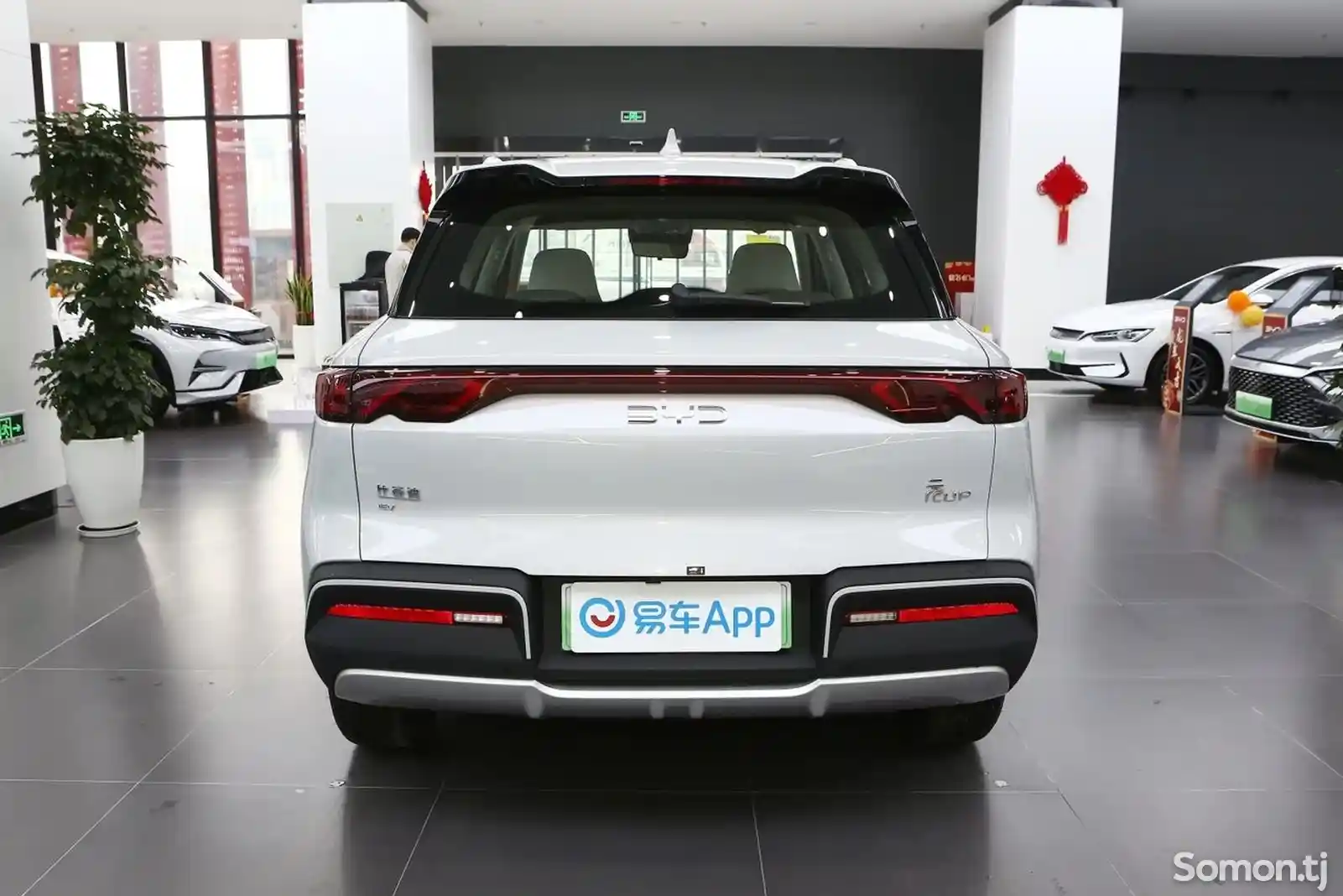 BYD Yuan Up, 2024-10