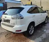 Lexus RX series, 2009-3