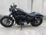 Мотоцикл Harley-Davidson 883n USA на заказ-2