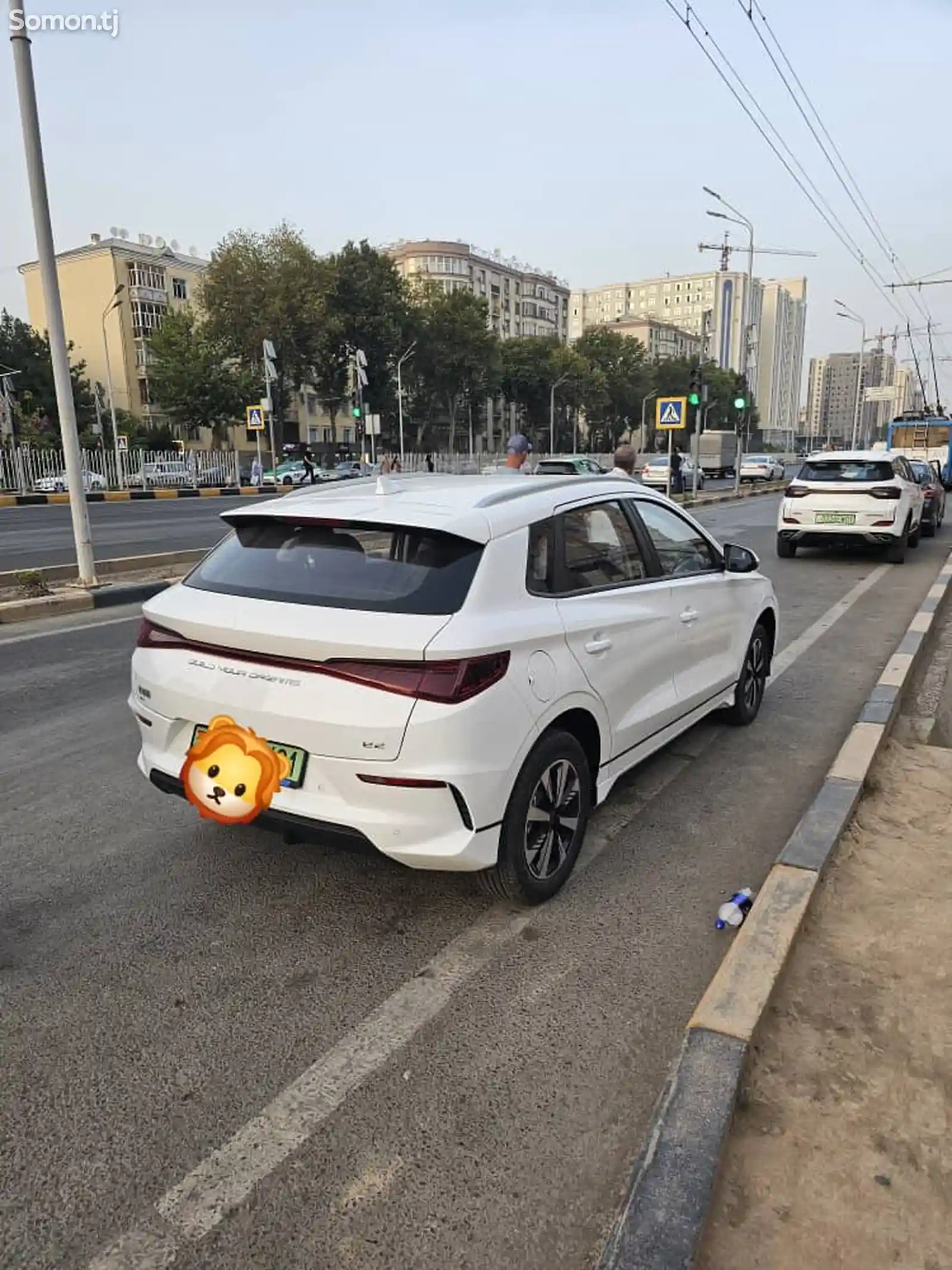 BYD E2, 2024-1