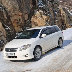 Toyota Fielder, 2007