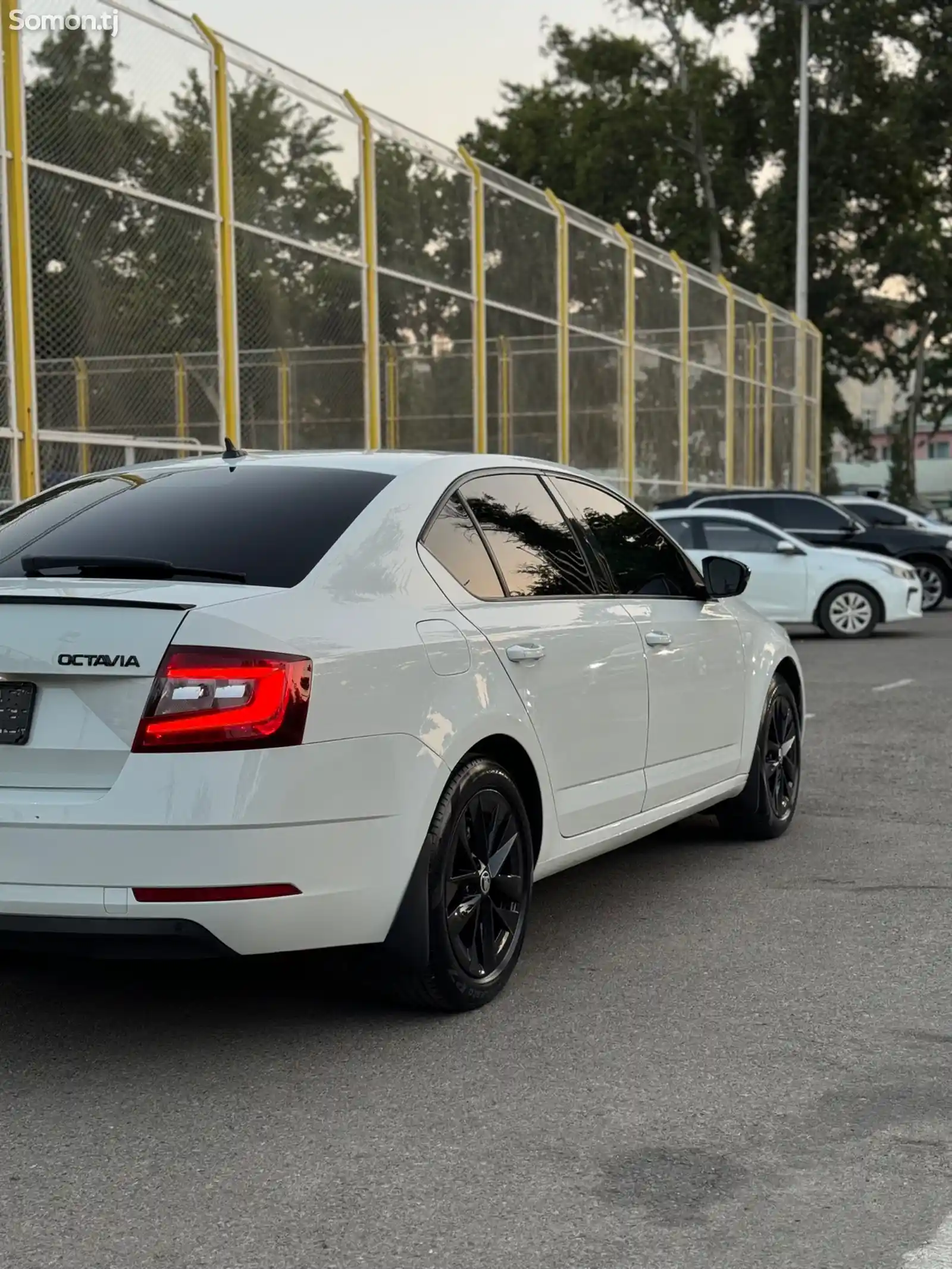 Skoda Octavia, 2019-5