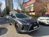 Lexus RX series, 2021-4